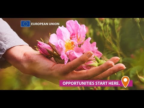 EU-funded project: new markets for Bulgarian rose oil
