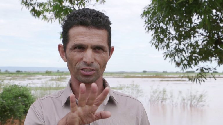 Biopesticides en lutte antiacridienne : mode d’emploi