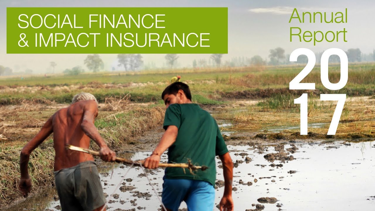 Social Finance & Impact Insurance Annual Report