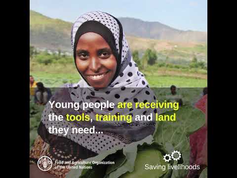 Agriculture opens doors for youth