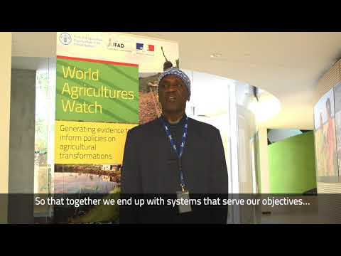 Interview with Nadjirou Sall, ROPPA, West Africa