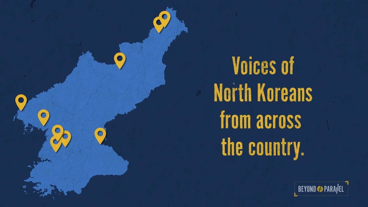 A View Inside North Korea: Surveys of Actual North Korean Citizens