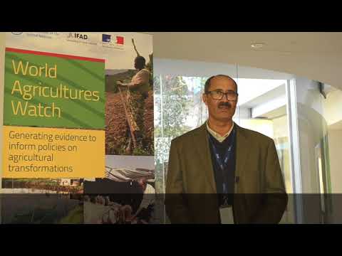 Interview with Mongi Sghaier, Ministry of Agriculture, Tunisia