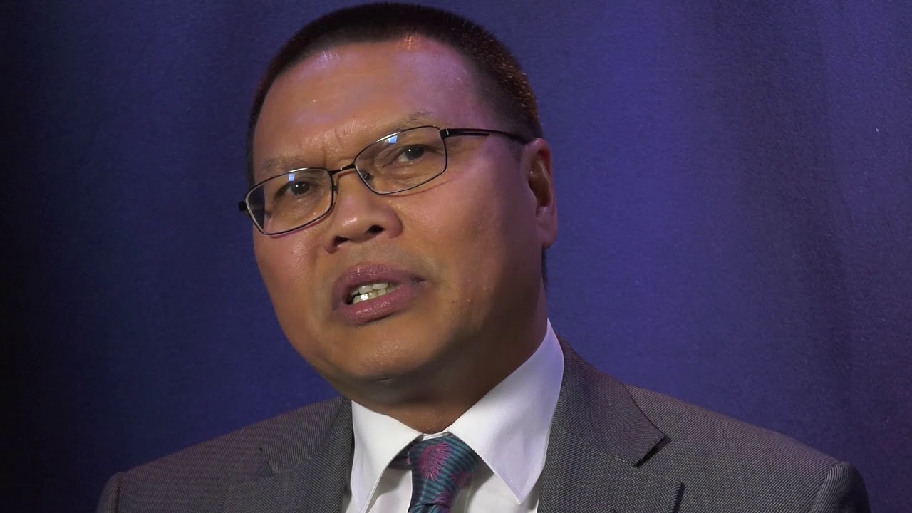 Halting deforestation in the UN Strategic Plan on Forests