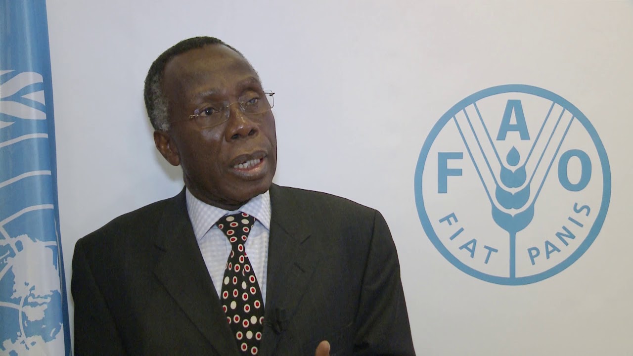 Remarks by Nigeria’s Agriculture and Rural Development Minister at FAO