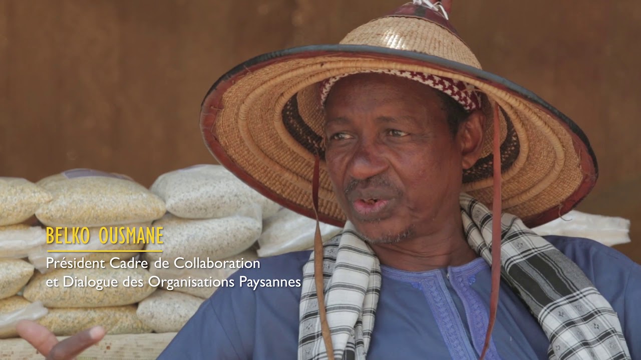 Evaluation : La FAO au Niger