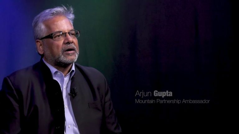 What is a Mountain Partnership Goodwill Ambassador?