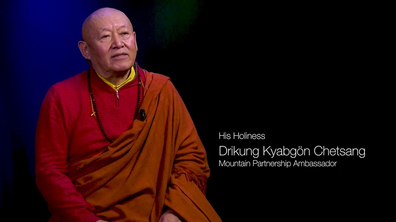 The role of mountains for the planet