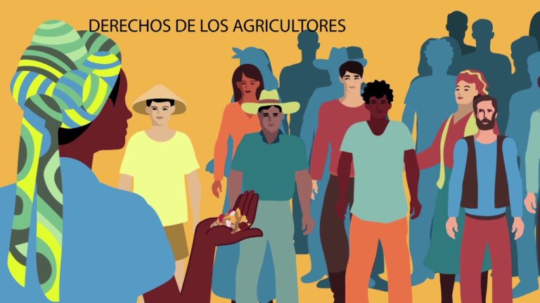 Tratado internacional: equidad y alimentos para todos
