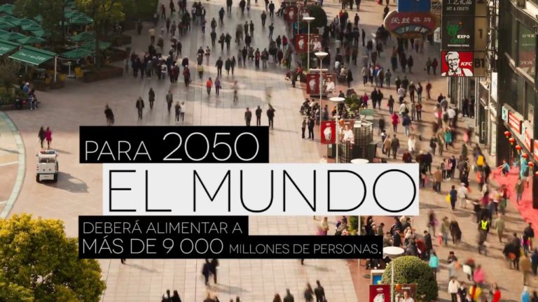 Quinto aniversario de las Directrices voluntarias sobre la tenencia