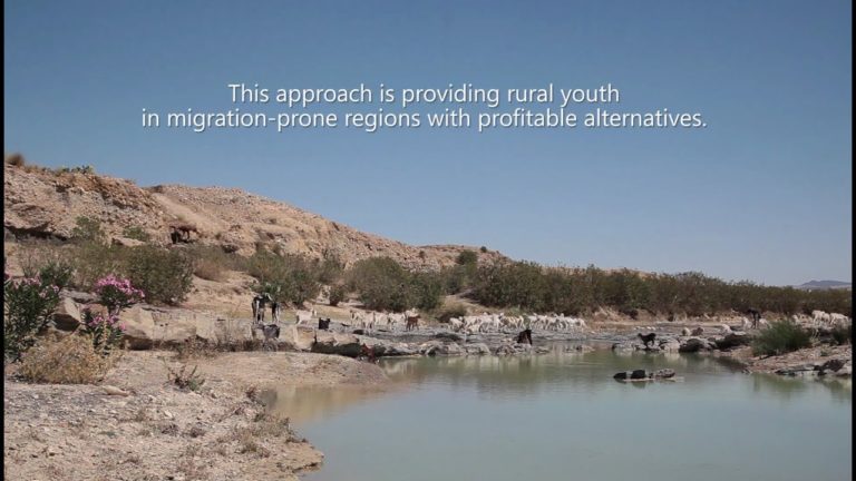 Alternatives to migration for Tunisian rural youth