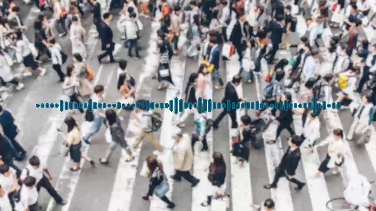 Population Estimates for Puerto Rico, Waveform