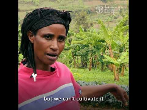 Solutions to water scarcity in Rwanda (short)