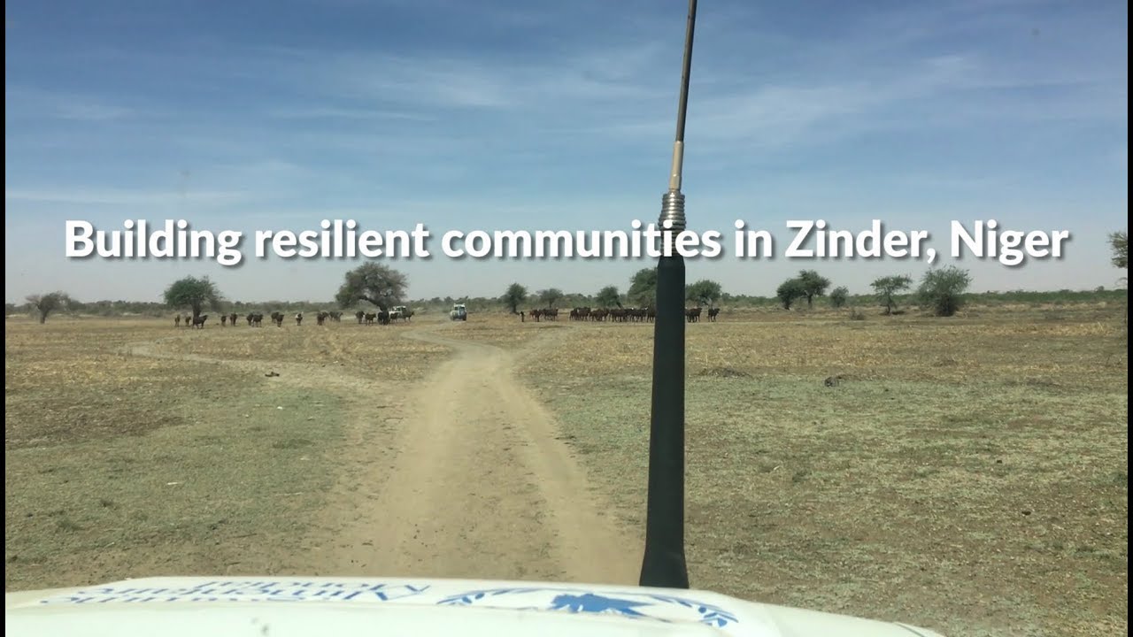 FAO, IFAD and WFP interventions in Niger