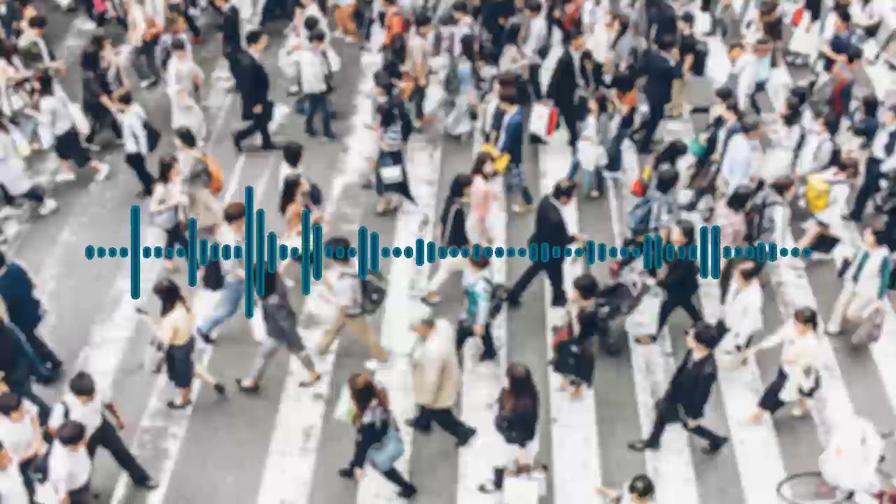 Estimados de Poblacion para Puerto Rico, Waveform