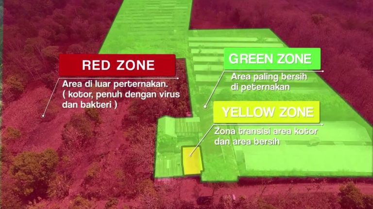 40 years FAO in Indonesia  (40 tahun FAO)