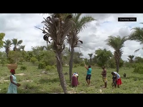 UN official: empowerment of rural women and girls vital to reducing poverty