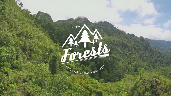 Happy  #InternationalForestDay!

Did you know that trees cle…