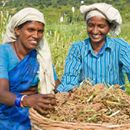 Breaking ground to make climate-smart agriculture ‘the new normal’