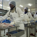 Growth miracles: Are they things of the past?