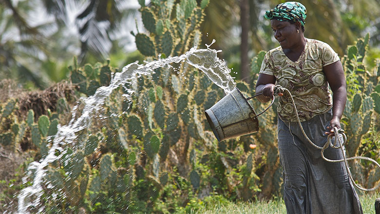 Breaking the ‘Grass Ceiling’: Empowering Women Farmers