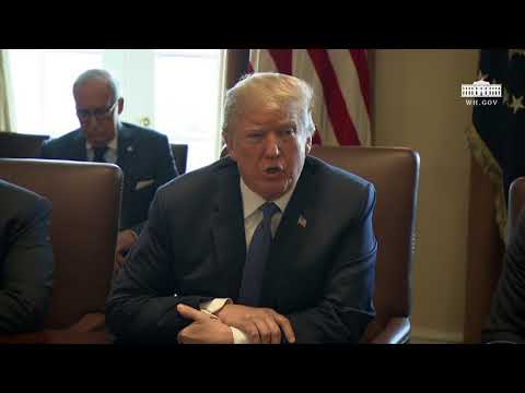 President Trump Hosts a Cabinet Meeting