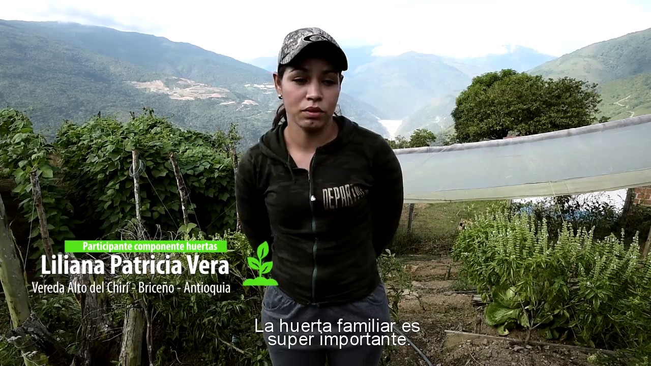 Cosechando frutos de paz