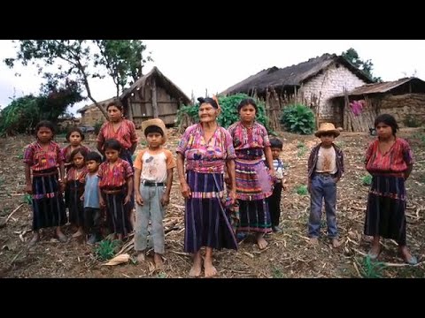 Protecting the rights and well-being of indigenous peoples