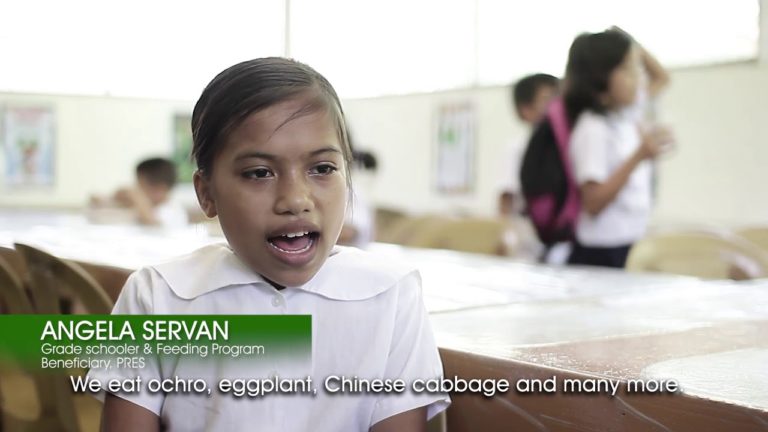 Youth and sustainable development in the Philippines