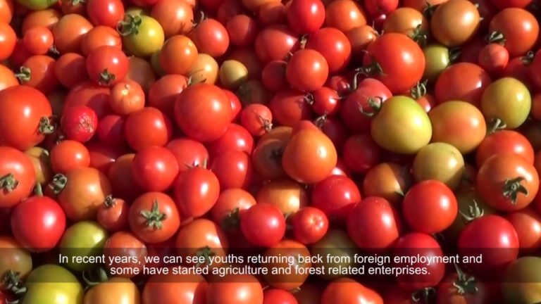 Youth and sustainable development in Nepal