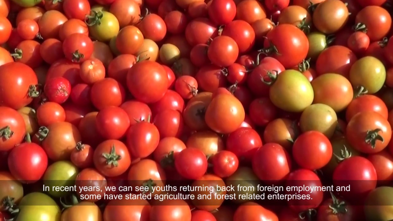 Youth and sustainable development in Nepal