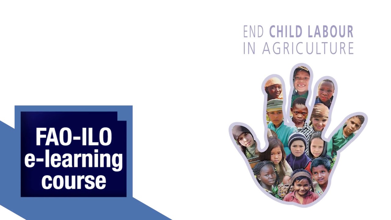 FAO-ILO e-learning course End Child labour in Agriculture