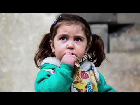 Everyday Heroes Syria: Saeed