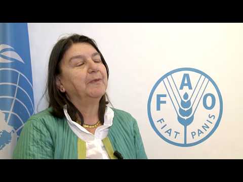 Remarks by the UN Special Rapporteur on the Right to Adequate Food