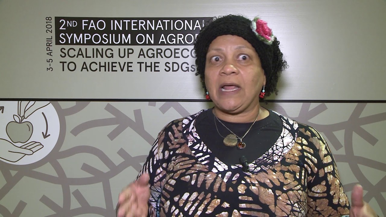 O papel da agroecologia no empoderamento das mulheres