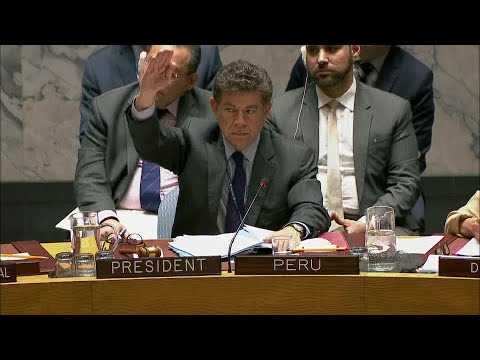 Security Council Votes on Draft Resolution S/2018/321 on Syria (10 April 2018)