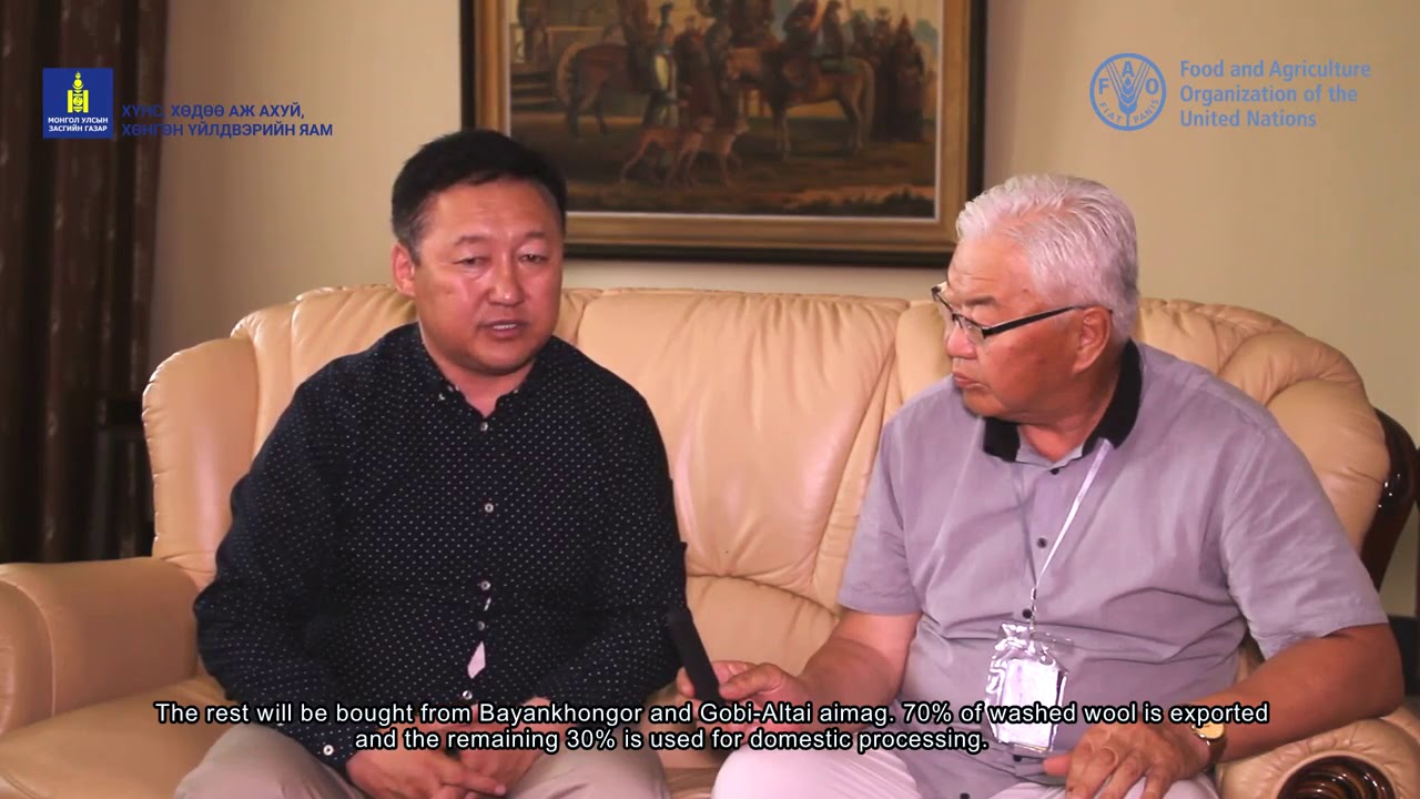 Climate Change & Mongolian Livestock Part I