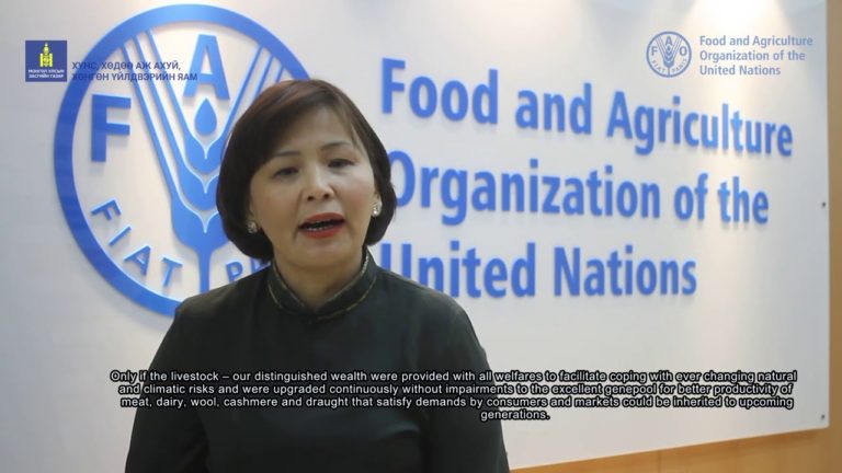 Climate Change & Mongolian Livestock Part III