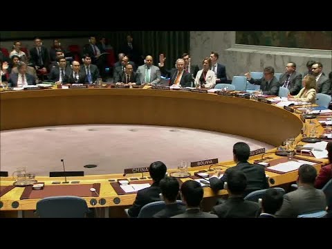 Security Council Votes on Draft Resolution S/2018/175 on Syria (10 April 2018)