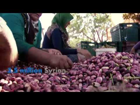 Enhanced Resilience for Syrian Refugees and Host Communities in South-E…