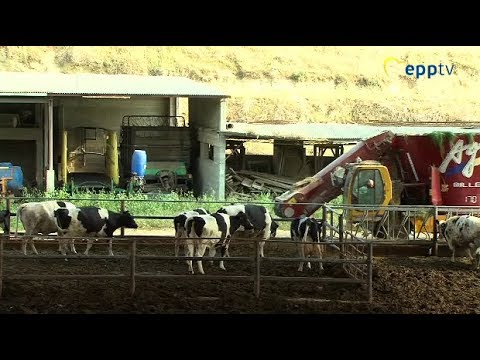 Post-Brexit CAP: defending farmers and consumers