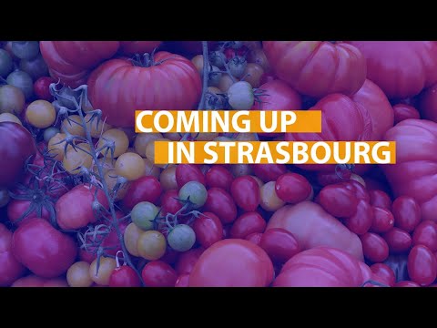 From waste packaging to organic food: coming up in Strasbourg