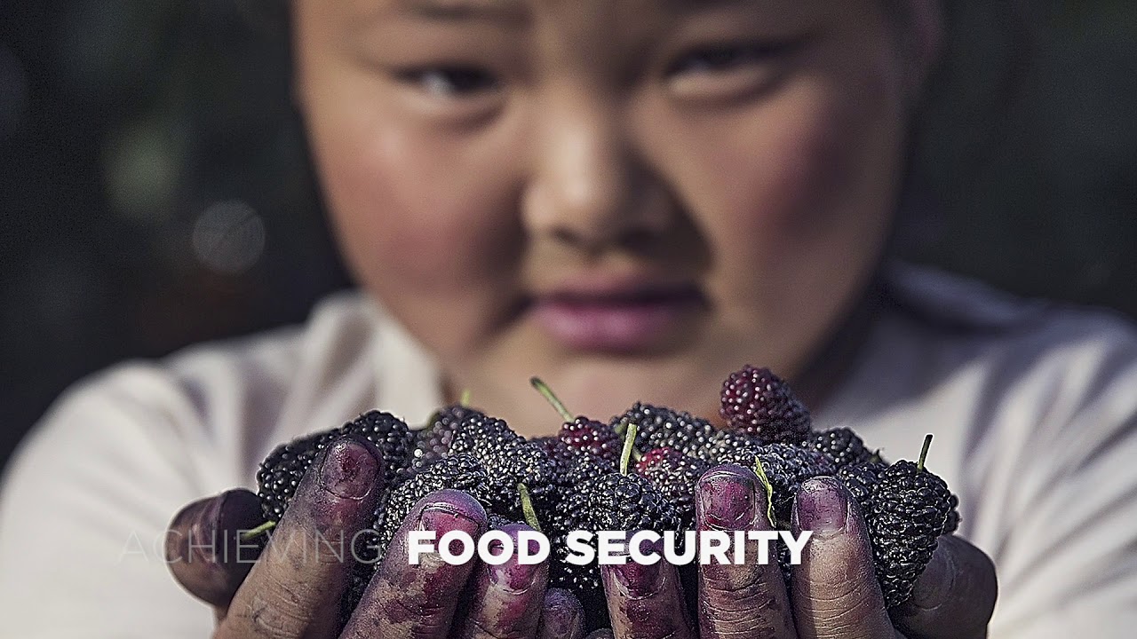 Globally Important Agricultural Heritage Systems