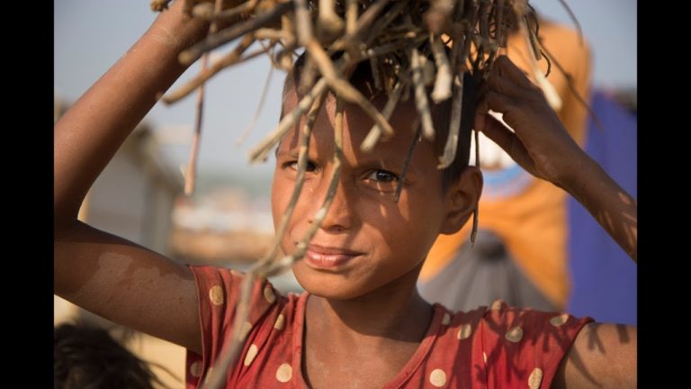 Creating a Domestic Consensus on Development – Perspectives from Weste…