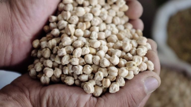 Morten Hartvigsen on FAO’s support smallholders and family farms in Eur…