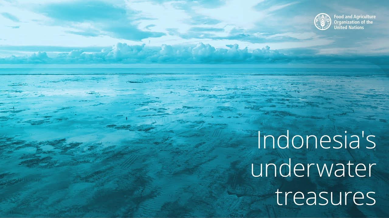 Seaweed, empowers woman in East Sumba – short version