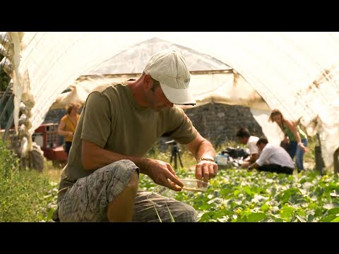 Growing trust in the organic boom