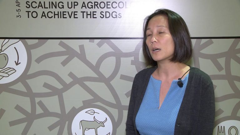Lim Li Ching on establishing policies that promote agroecology