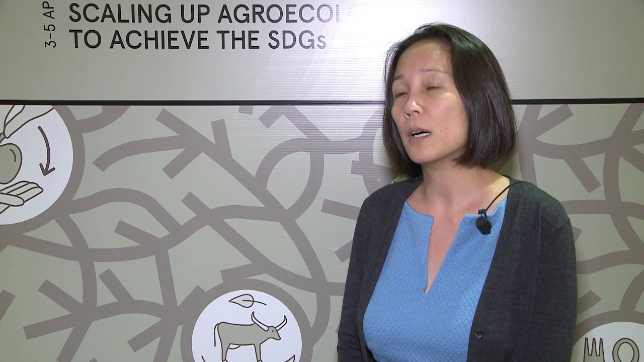 Lim Li Ching on establishing policies that promote agroecology