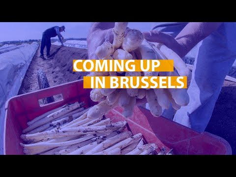 Coming up: posted workers, the digital economy’s challenges and more